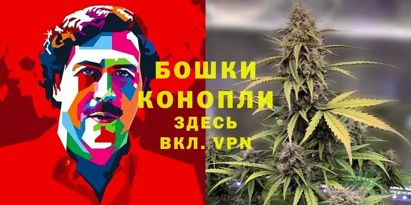 Бошки марихуана White Widow  блэк спрут зеркало  Челябинск 